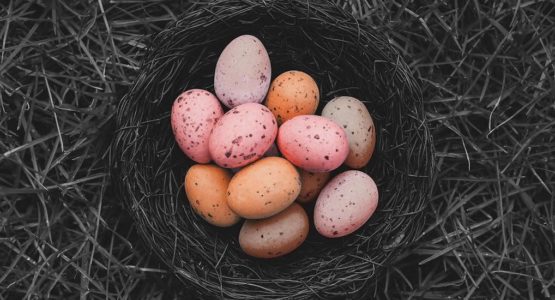 Ostereier im Körbchen: Alles, was du über Hoden wissen musst